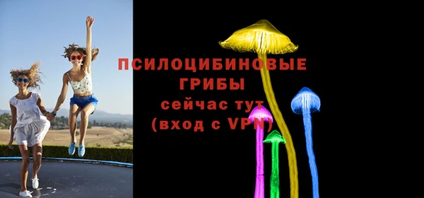 скорость Богородск