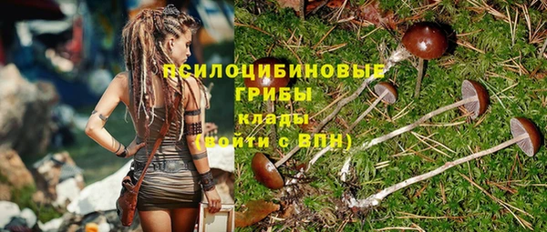 прущая мука Белокуриха