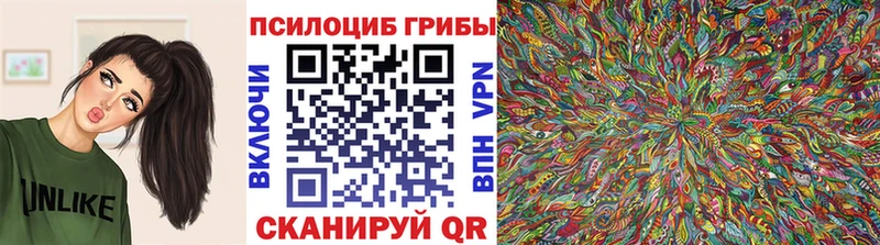 Галлюциногенные грибы Cubensis  купить закладку  Нерчинск 